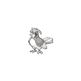 Pidgeotto