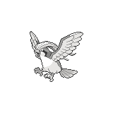 Pidgeot