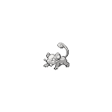 Rattata