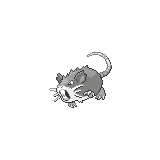Raticate
