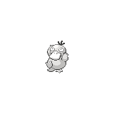 Psyduck