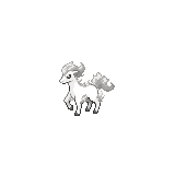 Ponyta