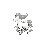 Rapidash