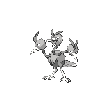 Dodrio