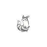 Furret