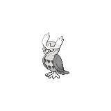 Noctowl