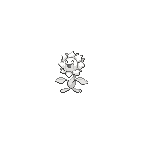 Sunflora