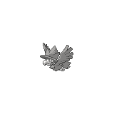 Murkrow