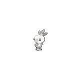 Torchic