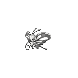 Beautifly