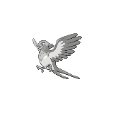 Swellow