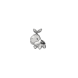 Turtwig