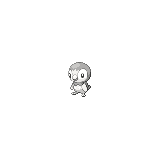 Piplup