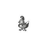 Staravia