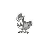 Staraptor