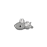 Hippopotas