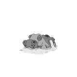 Hippowdon